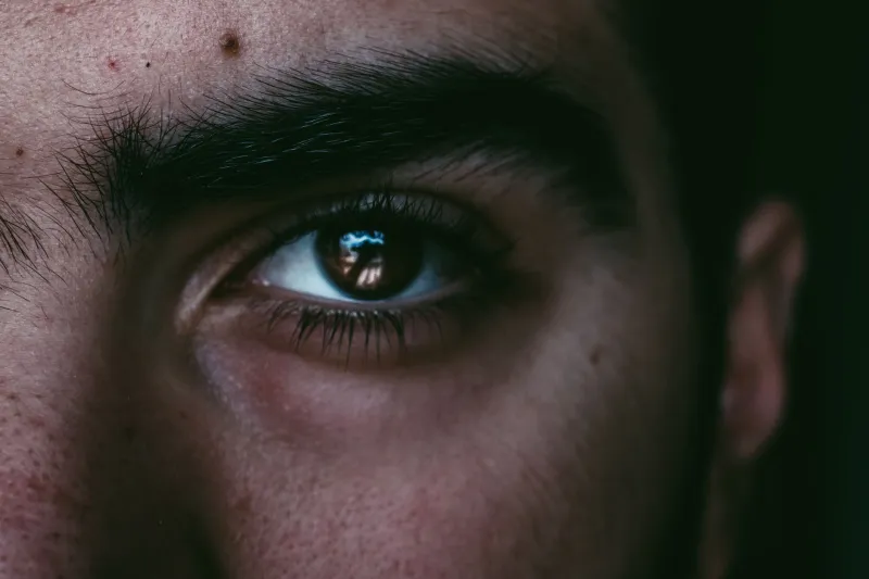 Your Face Already Answered: The Involuntary Tells Written Across Your Features